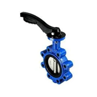 C.I 2 PIECE BUTTERFLY VALVE PTFE SEATED